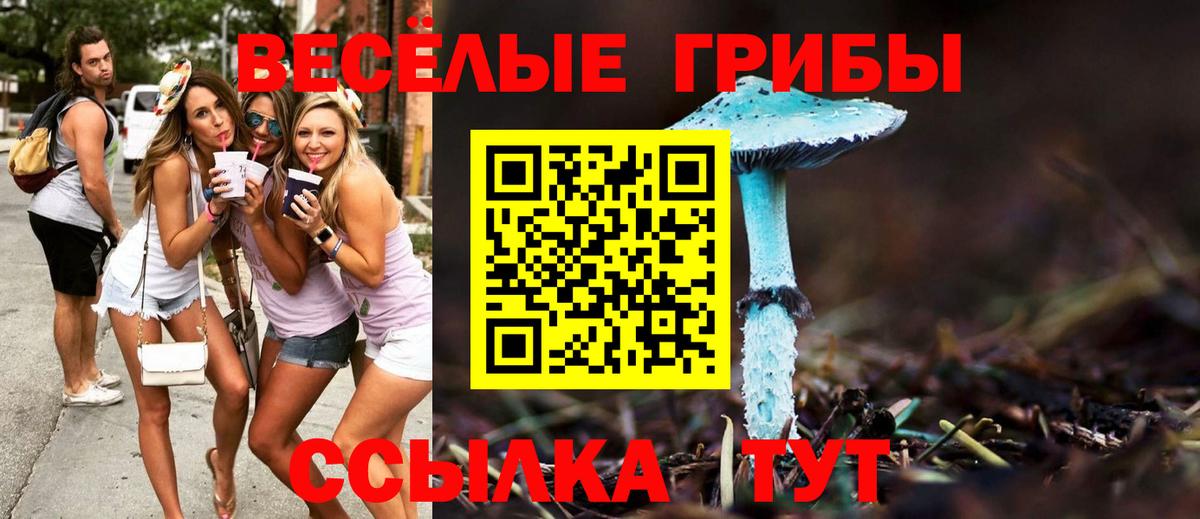 Галлюциногенные грибы Psilocybe Сергиев Посад